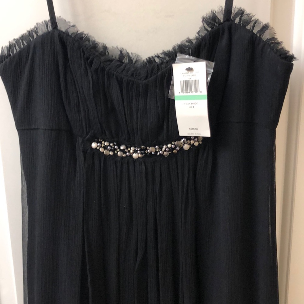 Beautiful BCBG Evening dress!